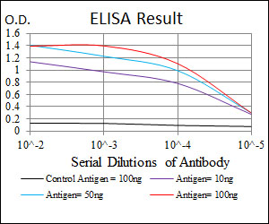 MAP2K7 / MEK7 Antibody - Red: Control Antigen (100ng); Purple: Antigen (10ng); Green: Antigen (50ng); Blue: Antigen (100ng);