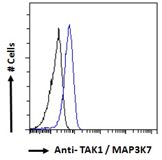 MAP3K7 / TAK1 Antibody - Goat Anti-TAK1 / MAP3K7 Antibody Flow cytometric analysis of paraformaldehyde fixed HeLa cells (blue line), permeabilized with 0.5% Triton. Primary incubation 1hr (10ug/ml) followed by Alexa Fluor 488 secondary antibody (1ug/ml). IgG control: Unimmunized goat IgG (black line) followed by Alexa Fluor 488 secondary antibody.