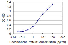 MAP3K7 / TAK1 Antibody - Detection limit for recombinant GST tagged MAP3K7 is 0.03 ng/ml as a capture antibody.