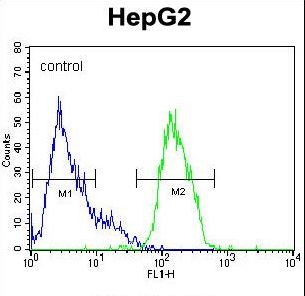 MAPK1 / ERK2 Antibody - MAPK1 Antibody flow cytometry of HepG2 cells (right histogram) compared to a negative control cell (left histogram). FITC-conjugated goat-anti-rabbit secondary antibodies were used for the analysis.