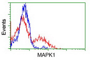 MAPK1 / ERK2 Antibody - HEK293T cells transfected with either overexpress plasmid (Red) or empty vector control plasmid (Blue) were immunostained by anti-MAPK1 antibody, and then analyzed by flow cytometry.
