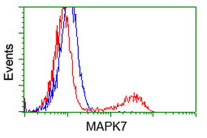 MAPK12 / ERK6 / SAPK3 Antibody - HEK293T cells transfected with either overexpress plasmid (Red) or empty vector control plasmid (Blue) were immunostained by anti-MAPK7 antibody, and then analyzed by flow cytometry.