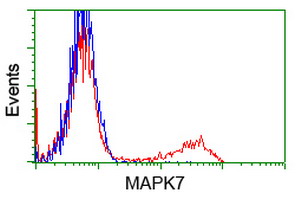 MAPK12 / ERK6 / SAPK3 Antibody - HEK293T cells transfected with either overexpress plasmid (Red) or empty vector control plasmid (Blue) were immunostained by anti-MAPK7 antibody, and then analyzed by flow cytometry.