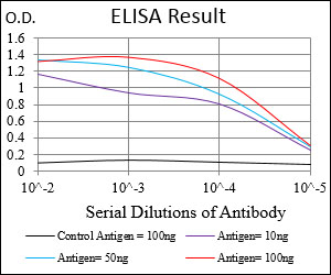 MAPK14 / p38 Antibody - Red: Control Antigen (100ng); Purple: Antigen (10ng); Green: Antigen (50ng); Blue: Antigen (100ng);