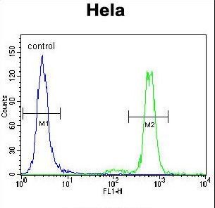 MAPK3 / ERK1 Antibody - MAPK3 Antibody flow cytometry of HeLa cells (right histogram) compared to a negative control cell (left histogram). FITC-conjugated goat-anti-rabbit secondary antibodies were used for the analysis.