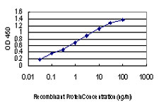 MAPK3 / ERK1 Antibody - Detection limit for recombinant GST tagged MAPK3 is approximately 0.1 ng/ml as a capture antibody.