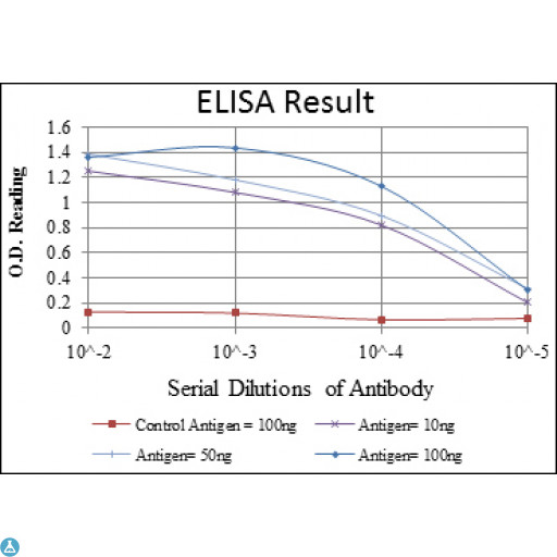 MAPK3 / ERK1 Antibody - ELISA analysis of ERK 1 antibody.