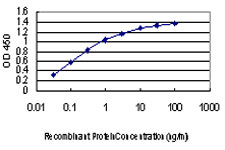 MAPK6 / ERK3 Antibody - Detection limit for recombinant GST tagged MAPK6 is approximately 0.03 ng/ml as a capture antibody.