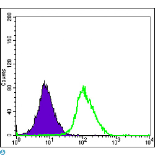 MAPK6 / ERK3 Antibody - Flow cytometric (FCM) analysis of HeLa cells using ERK 3 Monoclonal Antibody (green) and negative control (purple).
