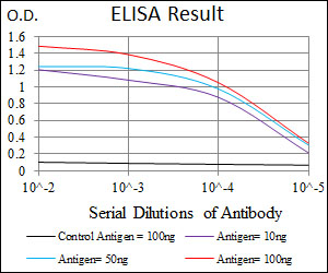 MAPK8 / JNK1 Antibody - Red: Control Antigen (100ng); Purple: Antigen (10ng); Green: Antigen (50ng); Blue: Antigen (100ng);