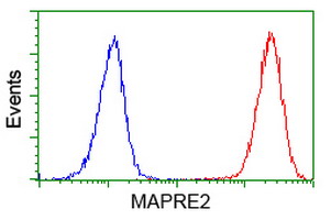 MAPRE2 / EB2 Antibody - Flow cytometry of Jurkat cells, using anti-MAPRE2 antibody (Red), compared to a nonspecific negative control antibody (Blue).
