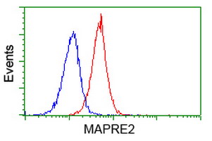 MAPRE2 / EB2 Antibody - Flow cytometry of Jurkat cells, using anti-MAPRE2 antibody (Red), compared to a nonspecific negative control antibody (Blue).