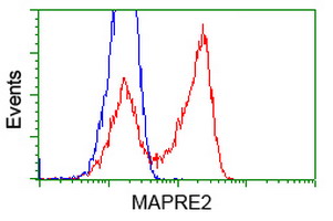 MAPRE2 / EB2 Antibody - HEK293T cells transfected with either overexpress plasmid (Red) or empty vector control plasmid (Blue) were immunostained by anti-MAPRE2 antibody, and then analyzed by flow cytometry.