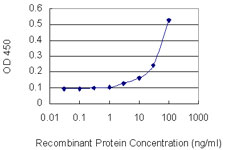 MAT / MAT1A Antibody - Detection limit for recombinant GST tagged MAT1A is 1 ng/ml as a capture antibody.