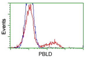 MAWDBP / PBLD Antibody - HEK293T cells transfected with either overexpress plasmid (Red) or empty vector control plasmid (Blue) were immunostained by anti-PBLD antibody, and then analyzed by flow cytometry.