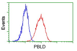 MAWDBP / PBLD Antibody - Flow cytometry of HeLa cells, using anti-PBLD antibody, (Red), compared to a nonspecific negative control antibody, (Blue).