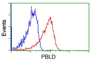 MAWDBP / PBLD Antibody - Flow cytometry of Jurkat cells, using anti-PBLD antibody, (Red), compared to a nonspecific negative control antibody, (Blue).