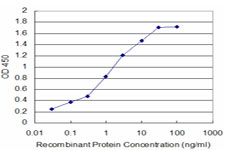 MAX Antibody - Detection limit for recombinant GST tagged MAX is approximately 0.1 ng/ml as a capture antibody.