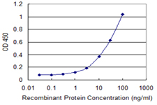 MBD1 Antibody - Detection limit for recombinant GST tagged MBD1 is 0.3 ng/ml as a capture antibody.