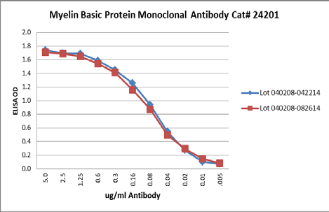 MBP / Myelin Basic Protein Antibody - ELISA: Human myelin basic protein coated on ELISA wells at 5ug/ml; binding detected with HRP-conjugated goat anti-mouse IgG + ABTS substrate.