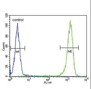 MC2R / ACTHR / ACTH Receptor Antibody - MC2R Antibody flow cytometry of WiDr cells (right histogram) compared to a negative control cell (left histogram). FITC-conjugated goat-anti-rabbit secondary antibodies were used for the analysis.
