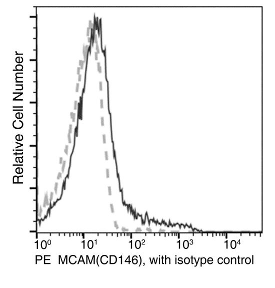 MCAM / CD146 Antibody - Flow cytometric analysis of Mouse MCAM(CD146) expression on BABL/c splenocytes. Cells were stained with PE-conjugated anti-Mouse MCAM(CD146). The fluorescence histograms were derived from gated events with the forward and side light-scatter characteristics of intact cells.