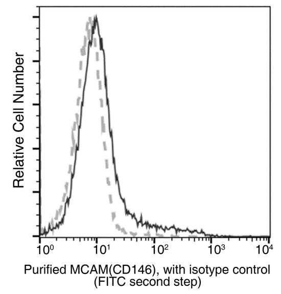 MCAM / CD146 Antibody - Flow cytometric analysis of Mouse MCAM(CD146) expression on BABL/c splenocytes. Cells were stained with purified anti-Mouse MCAM(CD146), then a FITC-conjugated second step antibody. The fluorescence histograms were derived from gated events with the forward and side light-scatter characteristics of intact cells.