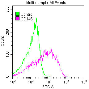 MCAM / CD146 Antibody - Overlay histogram showing A375 cells stained with CD146 Antibody (red line) at 1:50. The cells were fixed with 70% Ethylalcohol (18h) and then permeabilized with 0.3% Triton X-100 for 2 min.The cells were then incubated in 1x PBS /10% normal goat serum to block non-specific protein-protein interactions followed by primary antibody for 1 h at 4?.The secondary antibody used was FITC goat anti-rabbit IgG (H+L) at 1/200 dilution for 1 h at 4?. Control antibody (green line) was used under the same conditions. Acquisition of >10,000 events was performed.