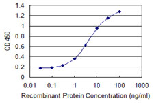 MCCC2 / MCCB Antibody - Detection limit for recombinant GST tagged MCCC2 is 0.1 ng/ml as a capture antibody.