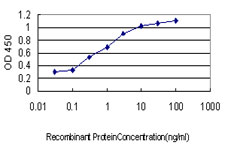 MCHR1 Antibody - Detection limit for recombinant GST tagged GPR24 is approximately 0.03 ng/ml as a capture antibody.