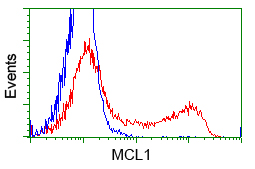 MCL1 / MCL 1 Antibody - HEK293T cells transfected with either pCMV6-ENTRY MCL1 (Red) or empty vector control plasmid (Blue) were immunostained with anti-MCL1 mouse monoclonal, and then analyzed by flow cytometry.