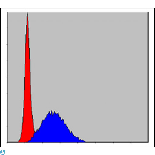 MCM2 Antibody - Flow cytometric (FCM) analysis of HeLa cells using BM28 Monoclonal Antibody (blue) and negative control (red).