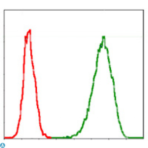MCM2 Antibody - Flow cytometric (FCM) analysis of Jurkat cells using BM28 Monoclonal Antibody (green) and negative control (red).