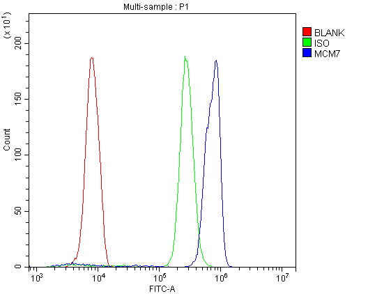 MCM7 Antibody - Flow Cytometry analysis of U937 cells using anti-MCM7 antibody. Overlay histogram showing U937 cells stained with anti-MCM7 antibody (Blue line). The cells were blocked with 10% normal goat serum. And then incubated with rabbit anti-MCM7 Antibody (1µg/10E6 cells) for 30 min at 20°C. DyLight®488 conjugated goat anti-rabbit IgG (5-10µg/10E6 cells) was used as secondary antibody for 30 minutes at 20°C. Isotype control antibody (Green line) was rabbit IgG (1µg/10E6 cells) used under the same conditions. Unlabelled sample (Red line) was also used as a control.