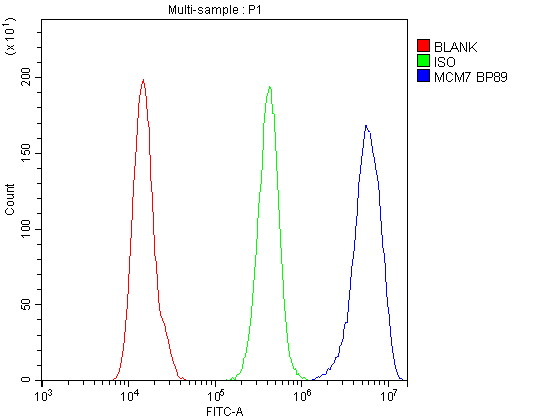 MCM7 Antibody - Flow Cytometry analysis of A431 cells using anti-MCM7 antibody. Overlay histogram showing A431 cells stained with anti-MCM7 antibody (Blue line). The cells were blocked with 10% normal goat serum. And then incubated with rabbit anti-MCM7 Antibody (1µg/10E6 cells) for 30 min at 20°C. DyLight®488 conjugated goat anti-rabbit IgG (5-10µg/10E6 cells) was used as secondary antibody for 30 minutes at 20°C. Isotype control antibody (Green line) was rabbit IgG (1µg/10E6 cells) used under the same conditions. Unlabelled sample (Red line) was also used as a control.
