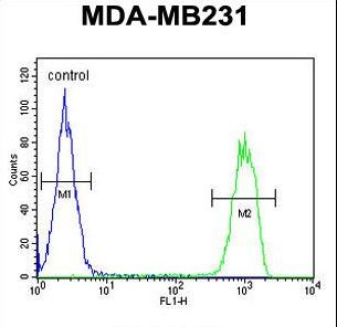 MCMBP / C10orf119 Antibody - CJ119 Antibody flow cytometry of MDA-MB231 cells (right histogram) compared to a negative control cell (left histogram). FITC-conjugated goat-anti-rabbit secondary antibodies were used for the analysis.
