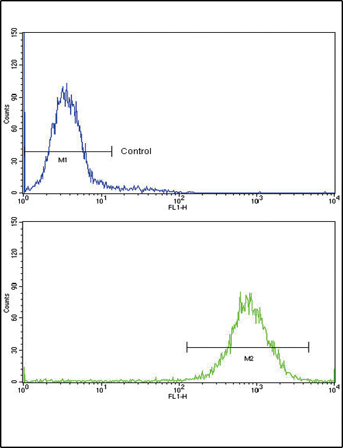 MDH / MDH2 Antibody - Flow cytometric of K562 cells using MDH2 Antibody (bottom histogram) compared to a negative control cell (top histogram)FITC-conjugated goat-anti-rabbit secondary antibodies were used for the analysis.