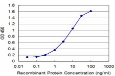 MDH / MDH2 Antibody - Detection limit for recombinant GST tagged MDH2 is approximately 0.3 ng/ml as a capture antibody.
