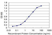 MDH / MDH2 Antibody - Detection limit for recombinant GST tagged MDH2 is approximately 0.1 ng/ml as a capture antibody.