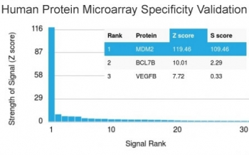 MDM2 Antibody - Analysis of HuProt(TM) microarray containing more than 19,000 full-length human proteins using MDM2 antibody. These results demonstrate the foremost specificity of the MDM2/2414 mAb. Z- and S- score: The Z-score represents the strength of a signal that an antibody (in combination with a fluorescently-tagged anti-IgG secondary Ab) produces when binding to a particular protein on the HuProt(TM) array. Z-scores are described in units of standard deviations (SD's) above the mean value of all signals generated on that array. If the targets on the HuProt(TM) are arranged in descending order of the Z-score, the S-score is the difference (also in units of SD's) between the Z-scores. The S-score therefore represents the relative target specificity of an Ab to its intended target.