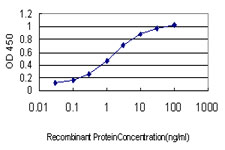 MECOM / EVI1 Antibody - Detection limit for recombinant GST tagged MECOM is approximately 0.03 ng/ml as a capture antibody.