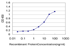 MED21 Antibody - Detection limit for recombinant GST tagged SURB7 is approximately 0.03 ng/ml as a capture antibody.
