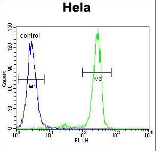 MED7 / CRSP9 Antibody - MED7 Antibody flow cytometry of HeLa cells (right histogram) compared to a negative control cell (left histogram). FITC-conjugated goat-anti-rabbit secondary antibodies were used for the analysis.