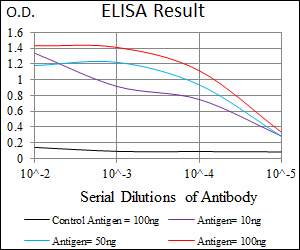 MEF2C Antibody - Red: Control Antigen (100ng); Purple: Antigen (10ng); Green: Antigen (50ng); Blue: Antigen (100ng);
