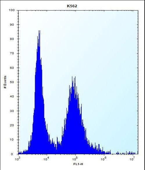 MEIG1 Antibody - MEIG1 Antibody flow cytometry of K562 cells (right histogram) compared to a negative control cell (left histogram). FITC-conjugated donkey-anti-rabbit secondary antibodies were used for the analysis.