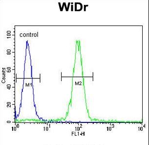 MEIS2 Antibody - MEIS2 Antibody (Center D269) flow cytometry of WiDr cells (right histogram) compared to a negative control cell (left histogram). FITC-conjugated goat-anti-rabbit secondary antibodies were used for the analysis.