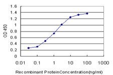 MFSD7 / MYL5 Antibody - Detection limit for recombinant GST tagged MYL5 is approximately 0.03 ng/ml as a capture antibody.