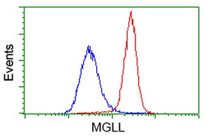 MGLL / Monoacylglycerol Lipase Antibody - Flow cytometry of HeLa cells, using anti-MGLL antibody (Red), compared to a nonspecific negative control antibody (Blue).