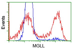 MGLL / Monoacylglycerol Lipase Antibody - HEK293T cells transfected with either overexpress plasmid (Red) or empty vector control plasmid (Blue) were immunostained by anti-MGLL antibody, and then analyzed by flow cytometry.