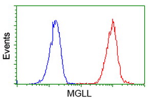 MGLL / Monoacylglycerol Lipase Antibody - Flow cytometry of Jurkat cells, using anti-MGLL antibody (Red), compared to a nonspecific negative control antibody (Blue).